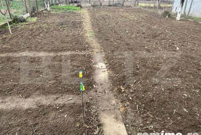 Casa de vanzare cu gradina, 5 camere, Nojorid - 4