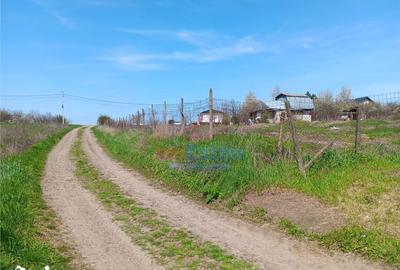 Teren de 500 mp, în Miroslava - 3