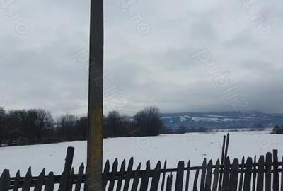 Teren de 3200 mp, în Capu Câmpului - 4