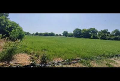 Teren de 2800 mp, în Lovrin - 12