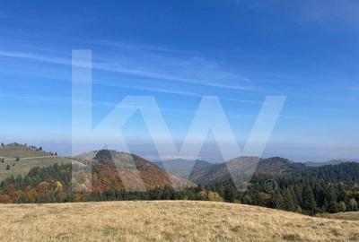 De vanzare: Parcele in Paltinis de la DOAR 15.000 EUR!