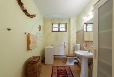 Casa rustica P+1 in zona de deal Bogati, AG - 8