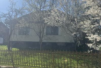 Casă cu 3 camere cu Teren 3500 Mp în Băița - 1