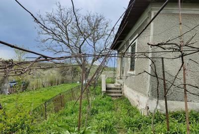 Casă cu 3 camere în Mogoșești - 2