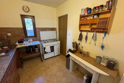 Vila de vanatoare in Santimbru-Bai - 6