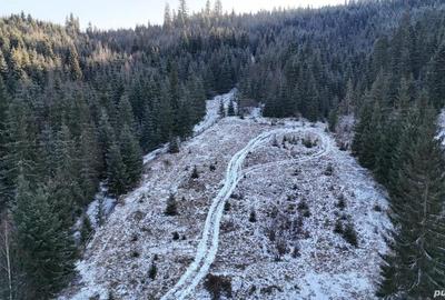 Teren de 3948 mp, în Breaza - 1