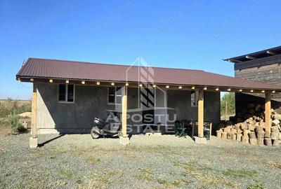 Casă cu Teren 1700 Mp în Horia - 4