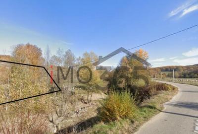 Teren 15 Hectare in sat | Mihaesti | Arges - 4