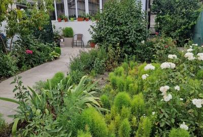 Casa cu suflet in centrul Medgidiei– gradina superba - 12