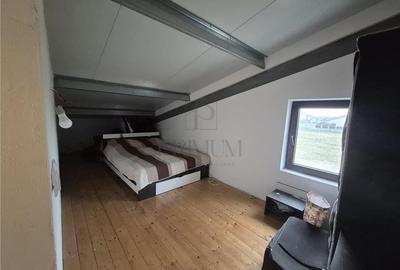 Hala / Spațiu de depozitare - cu birou și dormitor ? curte generoas&#2 - 4