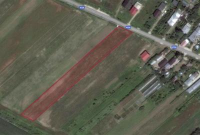 Teren de 5000 mp, în Buturugeni