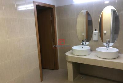 Depozit/hala/spatiu industrial Theodor Pallady - Drumul Int - 32