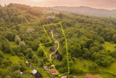 Teren de 11700 mp, în Valea - 5