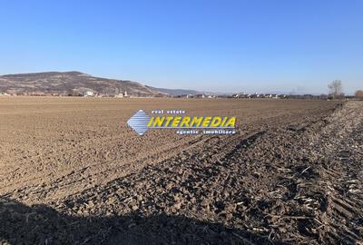 Teren Construcții intravilan de 600 mp, în Șard - 5