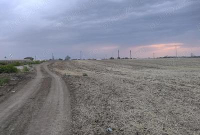 Teren de 16462 mp, în Ghercești - 3