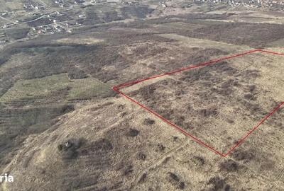 Spațiu comercial, în Centura - 3