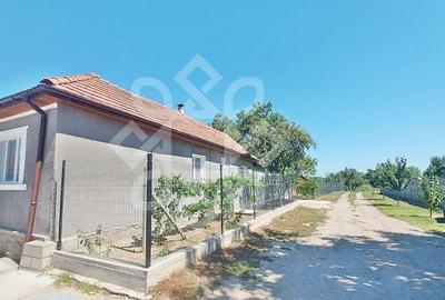 Casa cu teren in Tinca - 3