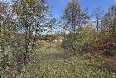 TEREN INTRAVILAN 13167 MP BUGHEA DE SUS ARGES - 6