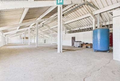 Hale 1800 mp fiecare – acces autostradă, Teiu, HD - 6