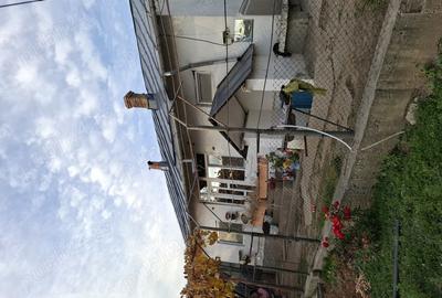 Casa de vanzare .Oferta de Craciun - 9