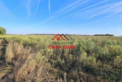 Casă cu Teren 5000 Mp în Urleta - 2