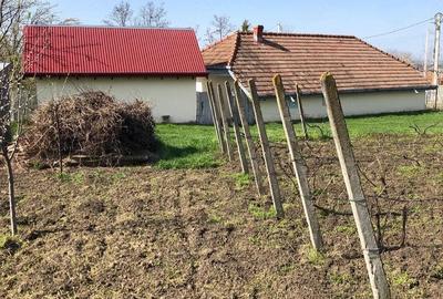 Casă cu Teren 3050 Mp în Belcești - 5