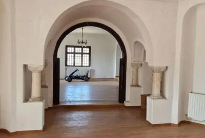 Casă cu Teren 95000 Mp în Central - 4