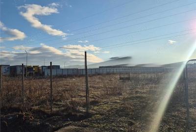 Teren de 10600 mp, în Viișoara - 1