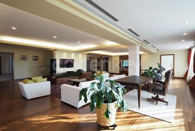 Penthouse cu 5 camere decomandat, mobilat în Herăstrău - 3