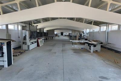 Hale industriale, fabrica de mobila la cheie de vanzare, zona Horlesti - 1