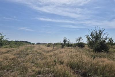 Teren intravilan de vanzare in Trivale - zona Magic | 500 mp - 2