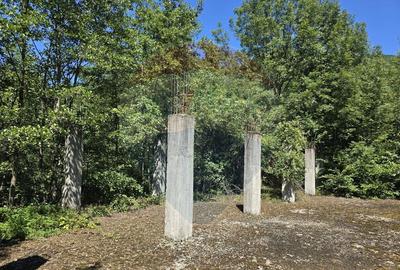 Teren de 4000 mp, în Păscoaia - 9