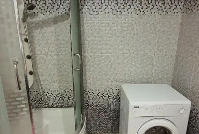 De inchiriat apartament 1 camera in zona Buziasului - 3