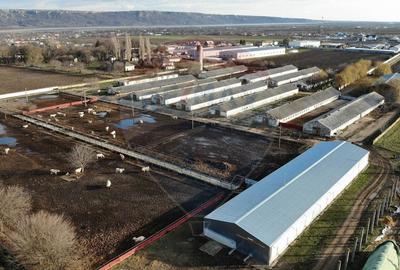 Spațiu industrial, 16000 mp în Pufești