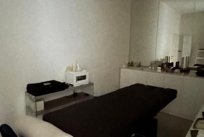 Aviatorilor, vila reprezentativa de inchiriat - 12