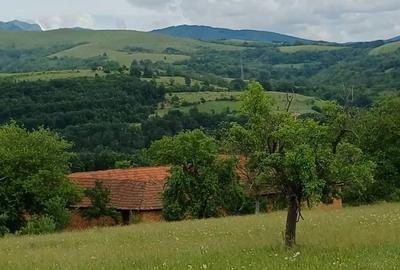 Teren de 60000 mp, în Cornea - 4
