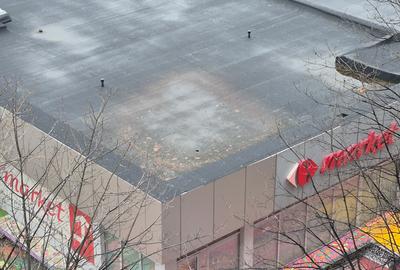 Constantin Brâncuși - 3