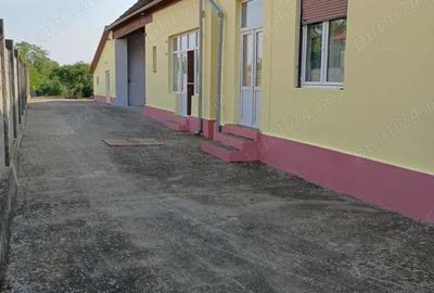 Casa stil baroc de vanzare , central pe strada principala (DN 6) ,o proprietate deosebita! - 1