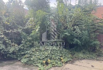 Casă individuală în zona Modern - 11