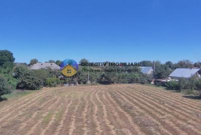 Casa + teren de vanzare - Zanesti - 9