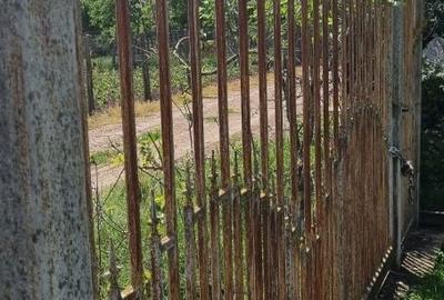 Spațiu comercial, în Ileana - 2