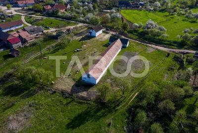 Casă cu 3 camere cu Teren 5039 Mp în Pianu - 7