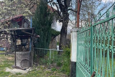 Casă cu Teren 6000 Mp în Central