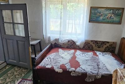 Ulmu, Calarasi - 8