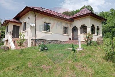 Vanzare casa  4 camere-microferma, cu panouri fotovoltaice - 3