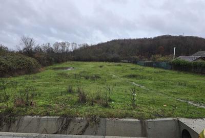 Spațiu comercial, în Borlești