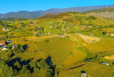 COMISION 0% Teren 19.300 mp/?irnea/ Oportunitate de inve... COMISION 0% Teren 19.300 mp/?irnea/ Oportunitate de inve... - 18