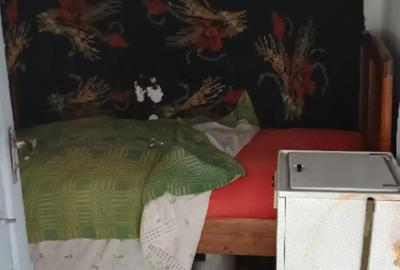 Casă cu 3 camere în Breaza - 4