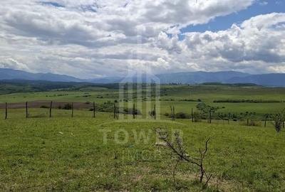 Teren agricol extravilan de 11500 mp, în Daia - 5