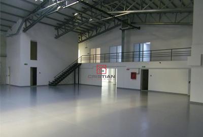 Depozit/hala/spatiu industrial Theodor Pallady - Drumul Int - 1